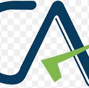 Chartered Accountant